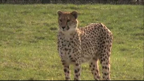 The Journal Episode 8 – April 29, 2010 – Part 2